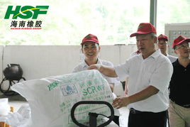 李明泉總裁深入云南海膠調(diào)研，指導(dǎo)推進現(xiàn)代化網(wǎng)站建設(shè)與數(shù)字化轉(zhuǎn)型